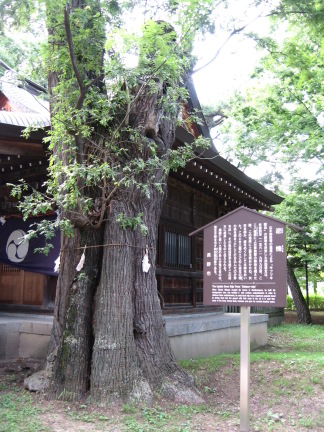 川中島古戦場